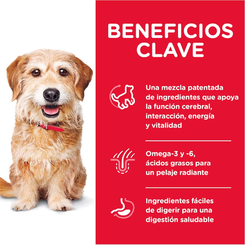 Alimento para perro Hills Youthful Small Toy Breed