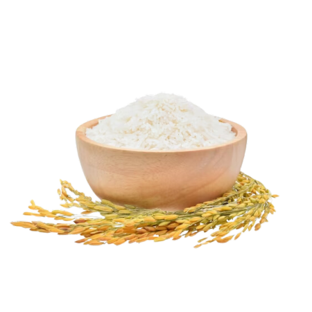 Arroz-Kanu Pet