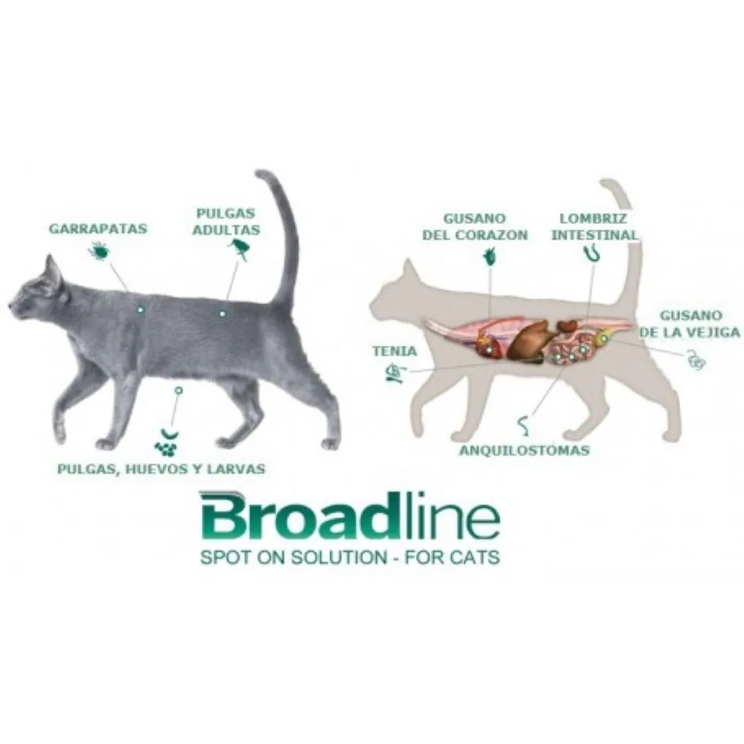 Broadline 0.6 a 2.5 KG Para Gato