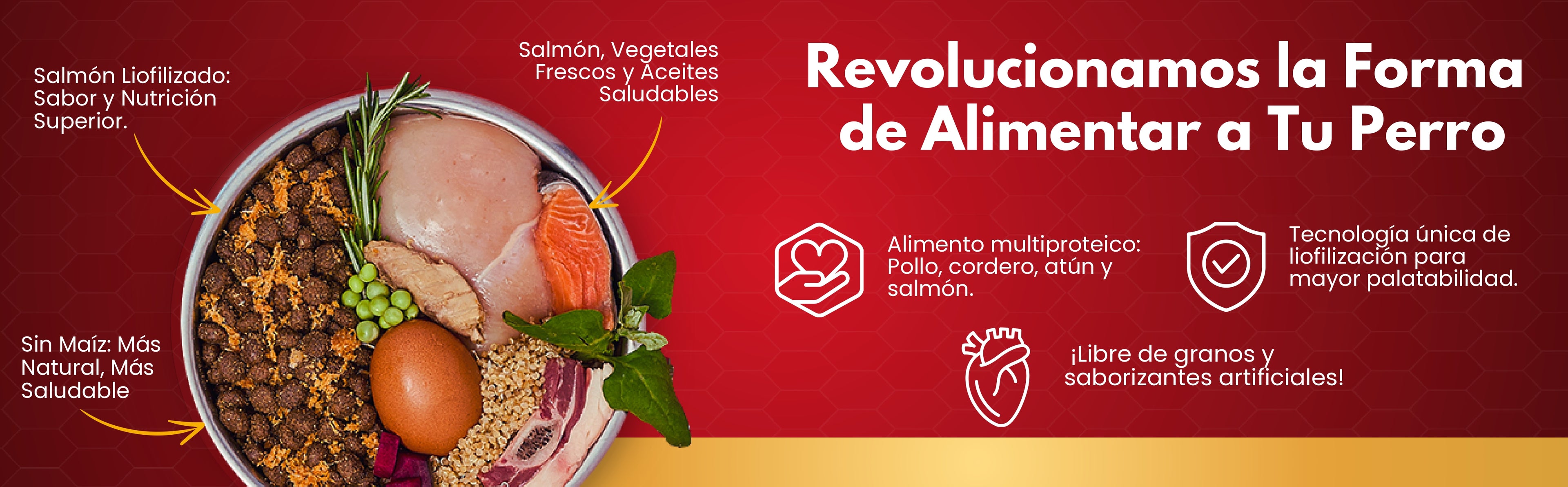 Banner_Nativo_Kbooster-Kanu Pet