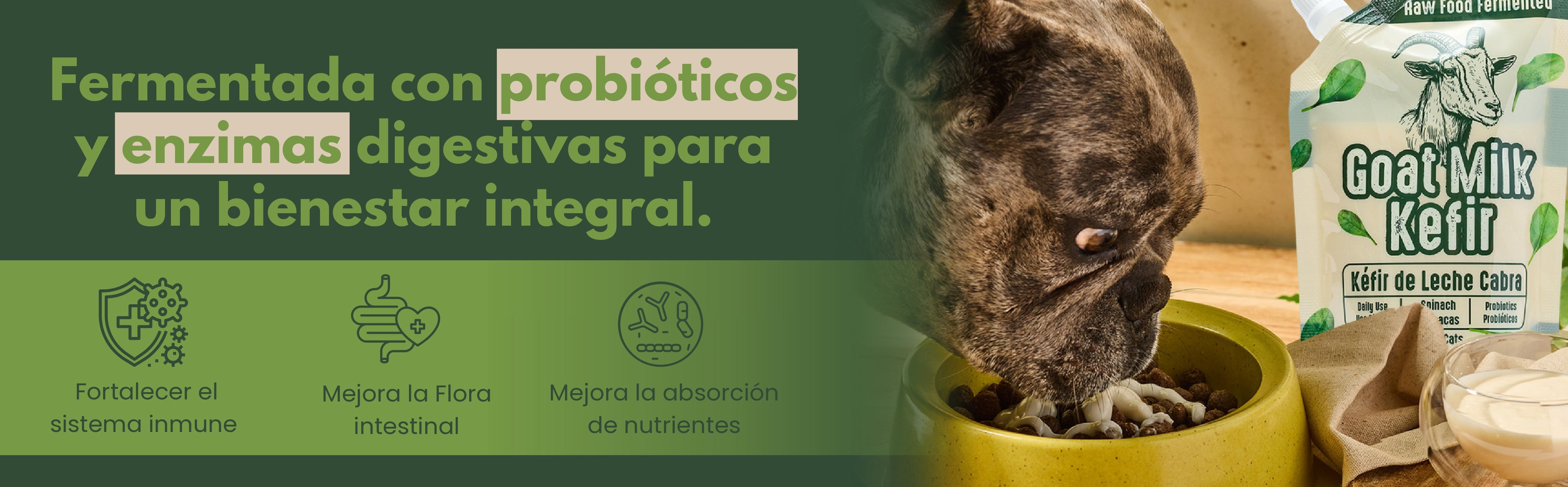 Banner_Pagina_kefir_de_espinaca-Kanu Pet