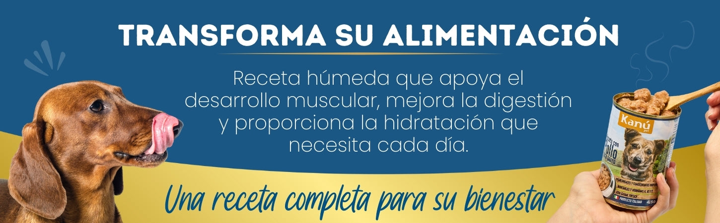 Banner_Producto_Pagina_5_287f95f0-1c10-4fef-9def-c5fd2bf01fdb-Kanu Pet