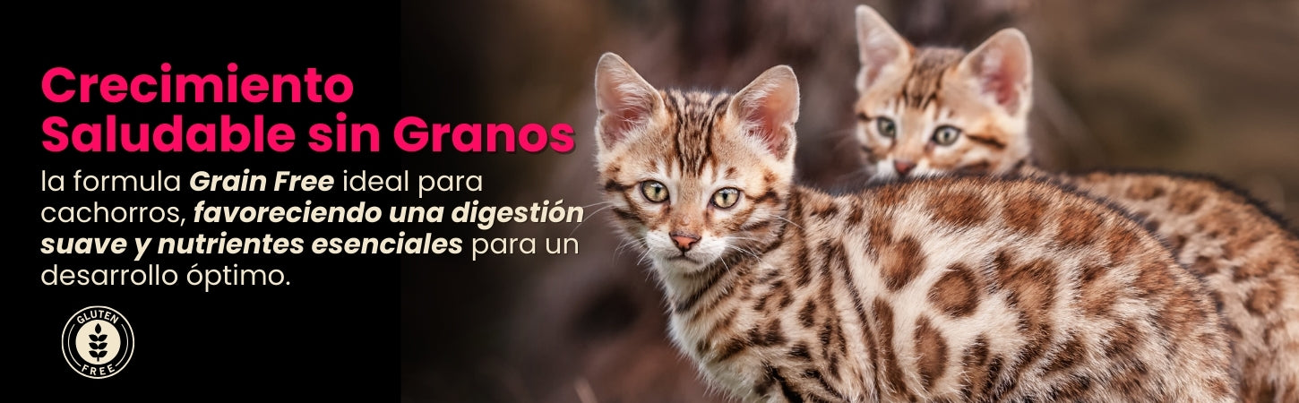 Banner_Producto_Pagina_7-Kanu Pet