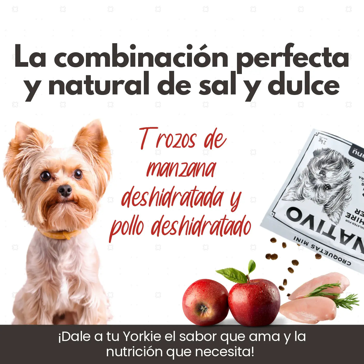 Banner_de_producto_Mobile__3__page-0001-Kanu Pet