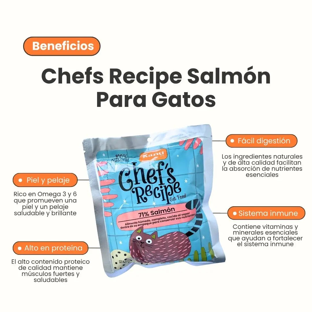 Alimento húmedo Chef recipe Salmon gatos toda razas
