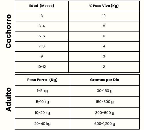 Guía de Alimentación