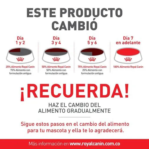 Alimento para gato Royal Canin Persa Adulto