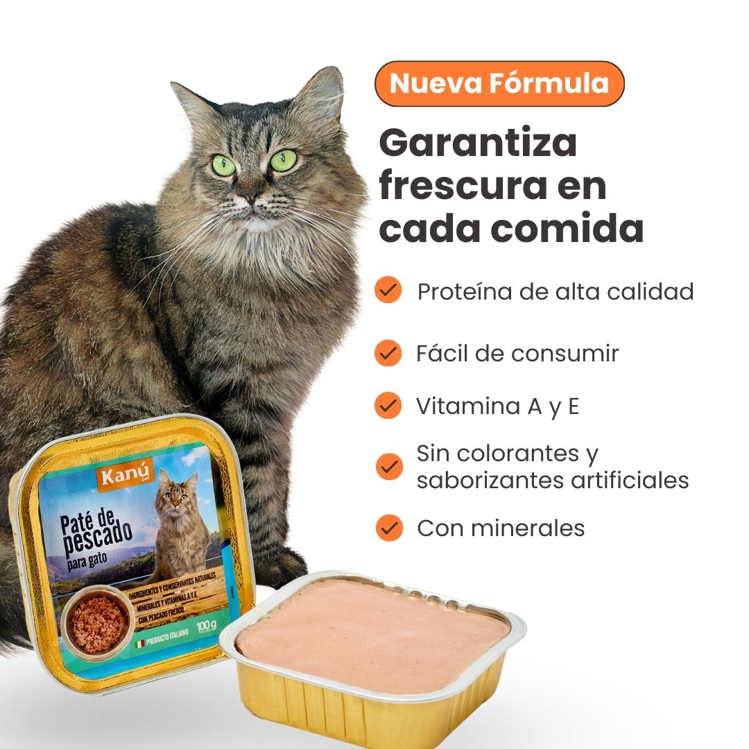 Pate de pescado Gato Kanu Pet x 100 GR