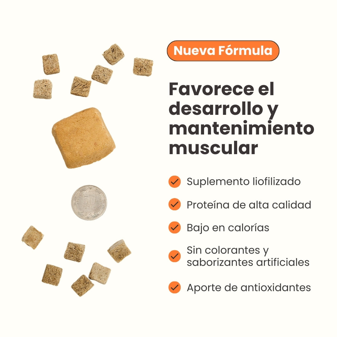Kanu Pet Tasty Cubes de Zanahoria Liofilizada para Perros, Snack Natural, Bajo en Calorías, Ideal para Entrenar y Recompensar a tu Mascota