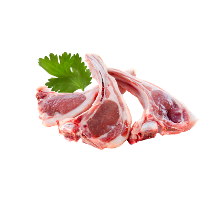 Cordero_e8fb12ae-fd4e-42ea-a058-22ebfe36abaf-Kanu Pet