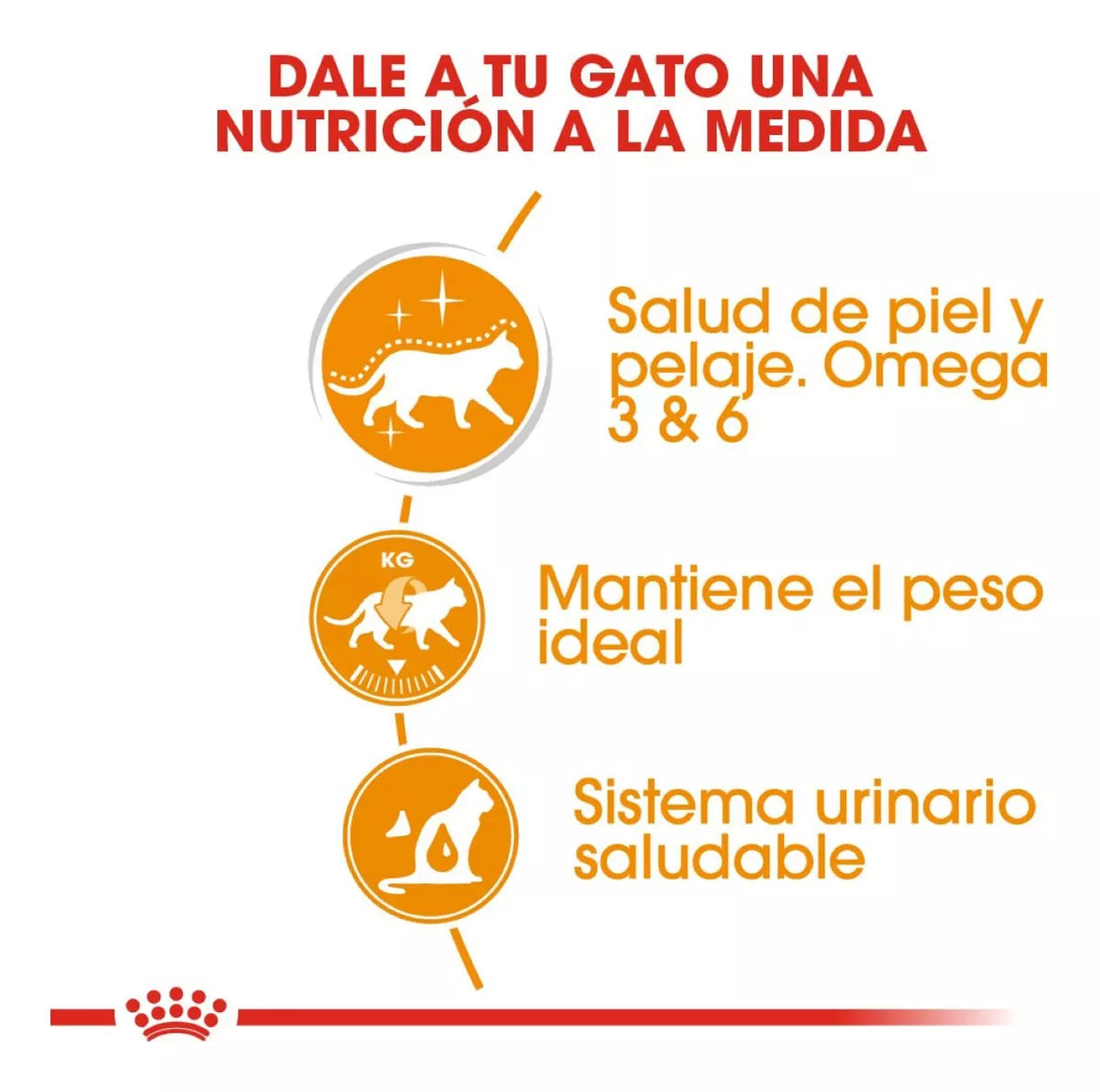 Alimento para gato Royal canin lata Beauty