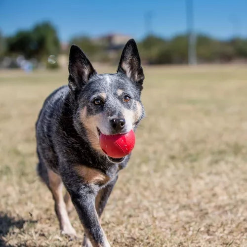 Pelota Caucho Kong classic Roja para Perro