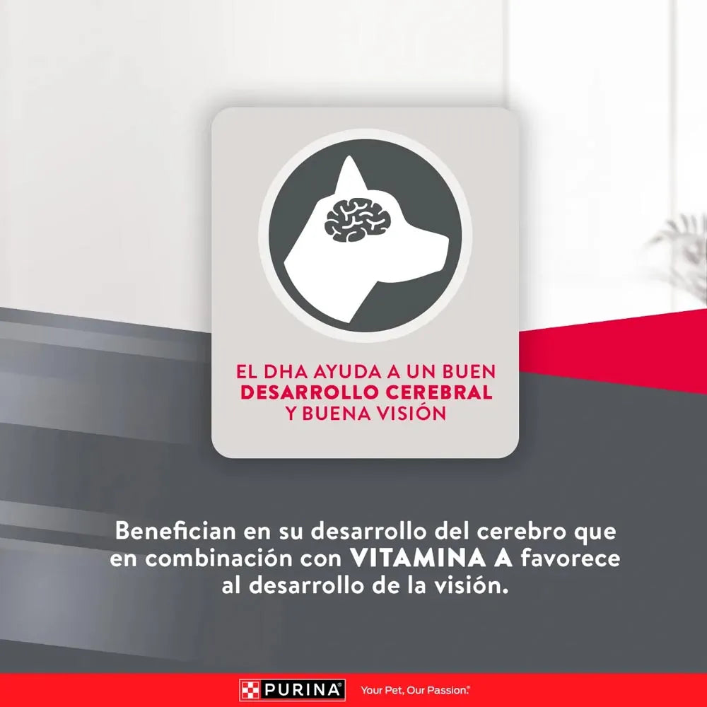 Alimento Para Perro Excellent Puppy Small Breed