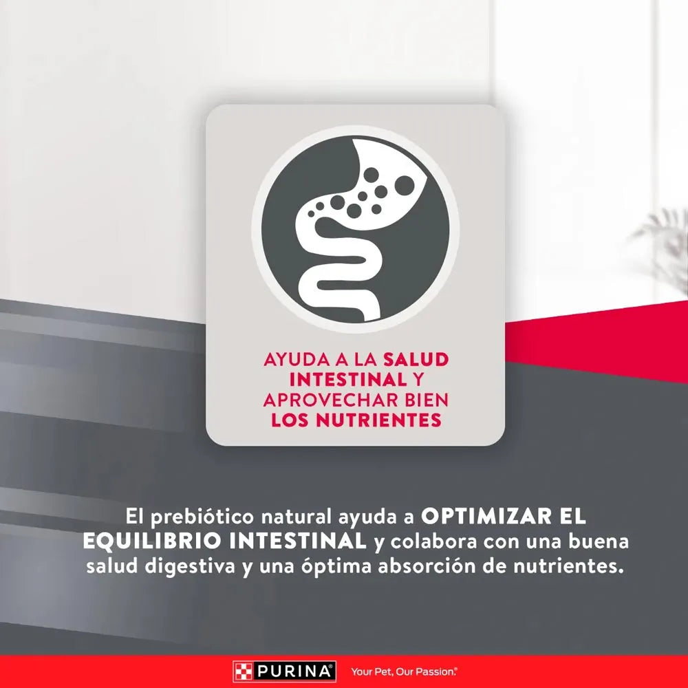 Alimento Para Perro Excellent Adult Small Breed