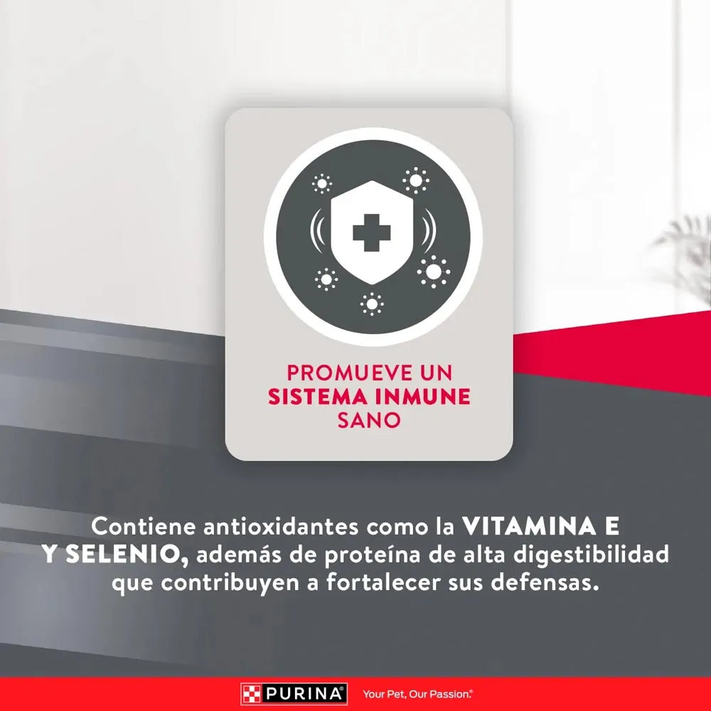 Alimento Para Perro Excellent Adult Chicken Rice