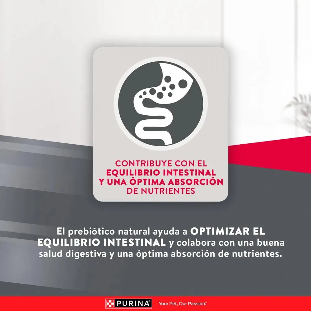 Alimento Para Perro Excellent Adult Chicken Rice