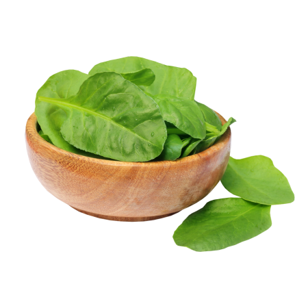 Espinaca_26849cc9-0469-4d6c-9c18-0929b8913aa4-Kanu Pet