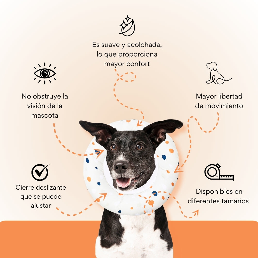 Collar Dona Isabelina Puntos de Colores Kanu Vet Para Perro y Gato