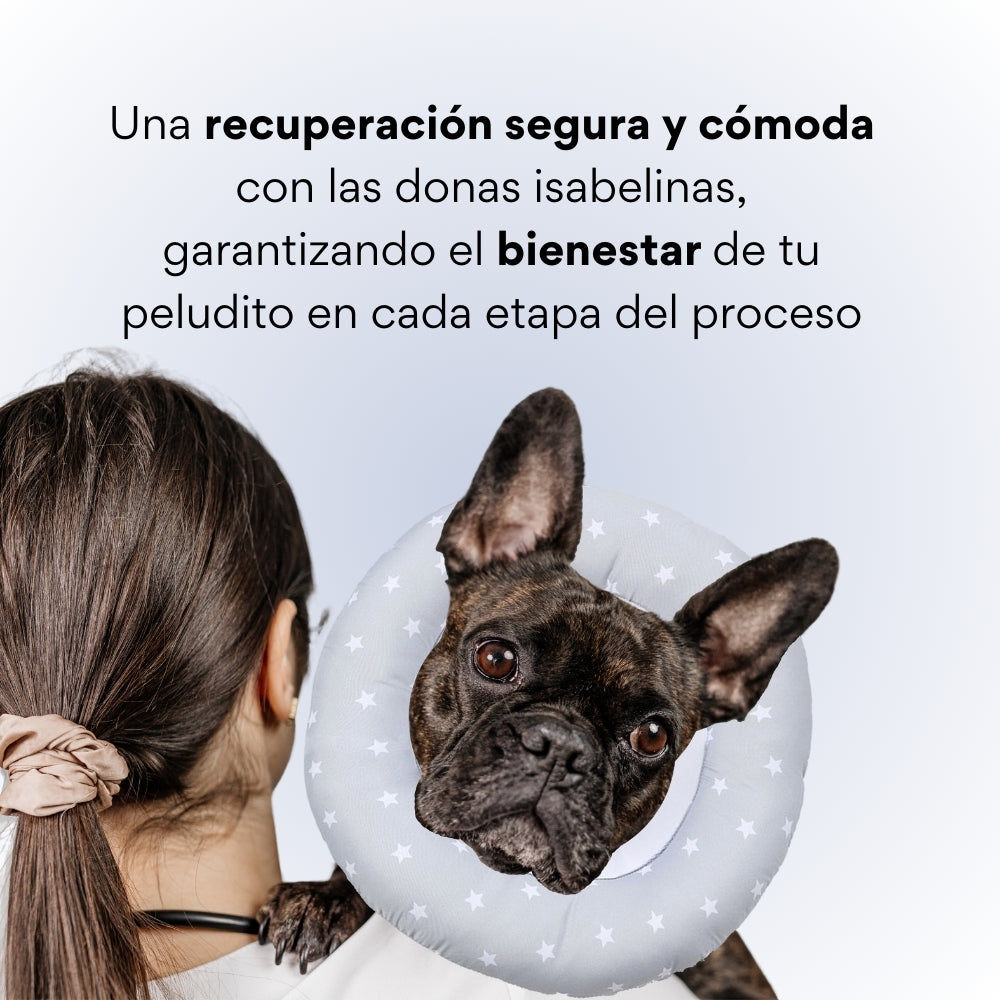 Collar Dona Isabelina Gris con Estrellas Kanu Vet Para Perro y Gato