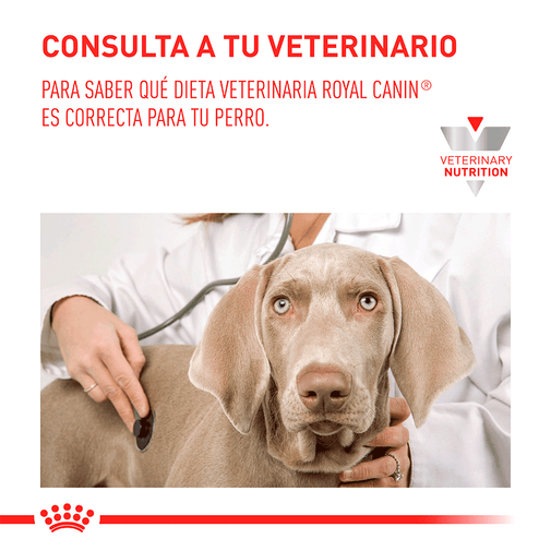 Alimento para perro Royal Canin Vd GastroIntestinal Junior Canino