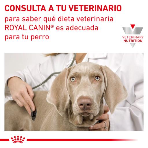 Alimento para perro Royal canin Lata Hepatic