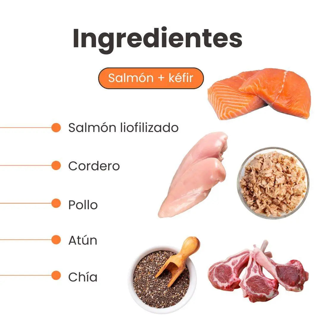ingredientes - Alimento Seco K-booster salmón Kanu pet para perro cachorro toda raza