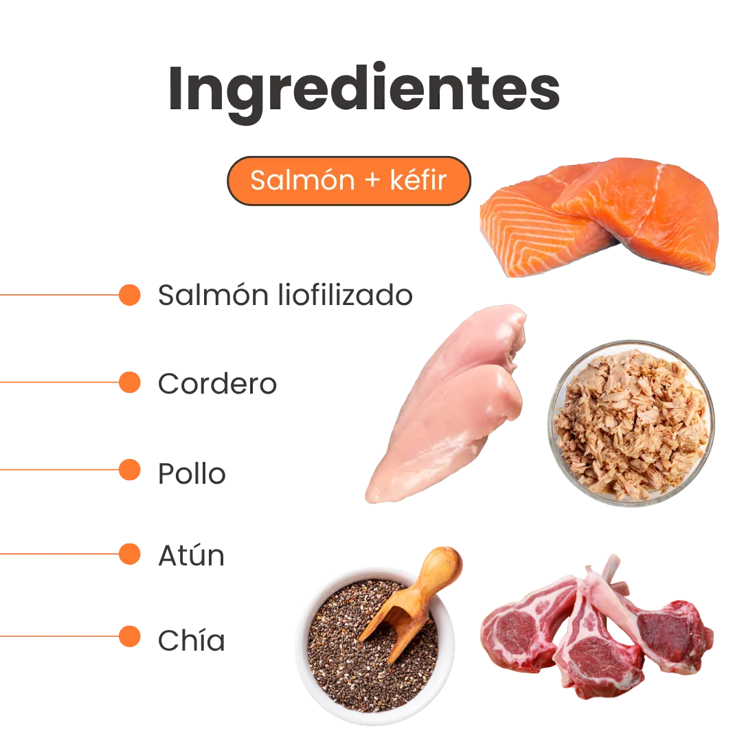 Alimento Seco Nativo K-Booster Salmón Pollo Cordero y Atún Kanu Pet para Perro Cachorro