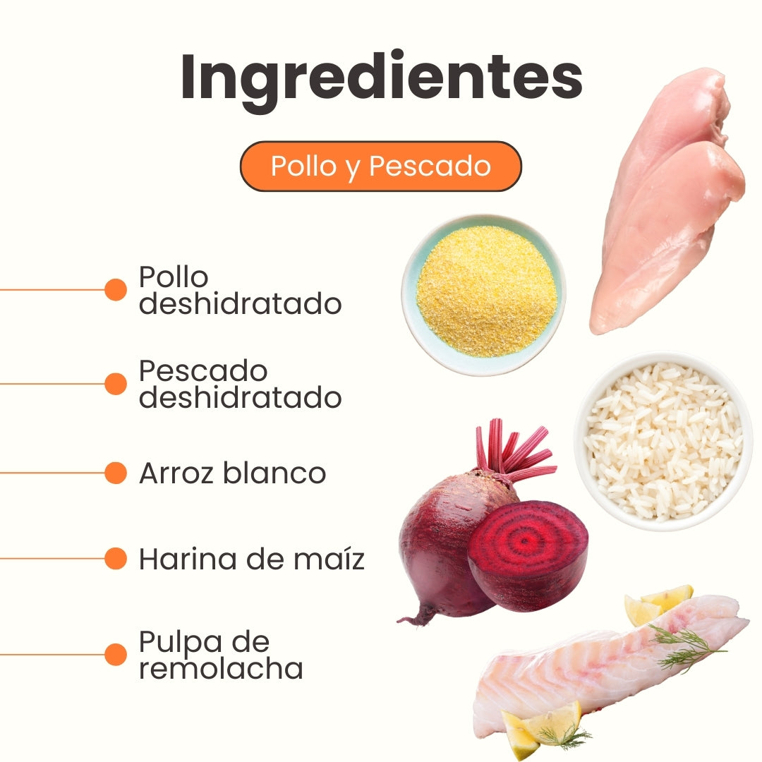 Alimento Seco Nativo Mantenimiento para Gatitos Kanu Pet