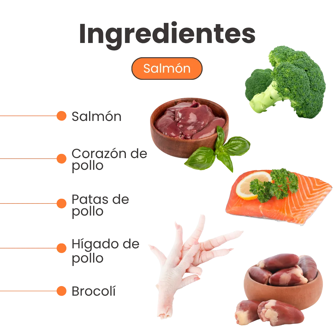 Alimento Húmedo Completo Chef's Recipe Salmón Kanu Pet para Gatos