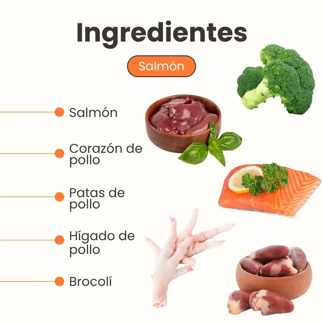 ingredientes- Alimento húmedo Chef recipe Salmon gatos toda razas