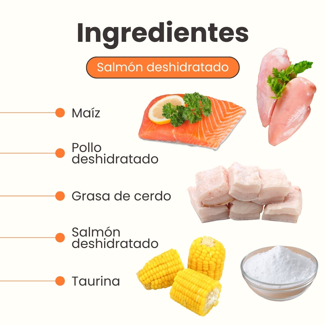 Snack Nuggets de Salmón Kanu Pet para Gato