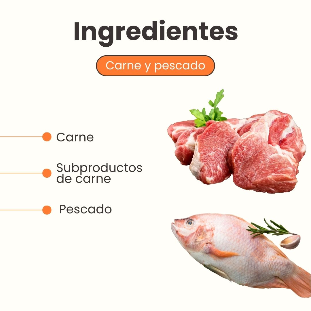 Pate de pescado Gato Kanu Pet x 100 GR