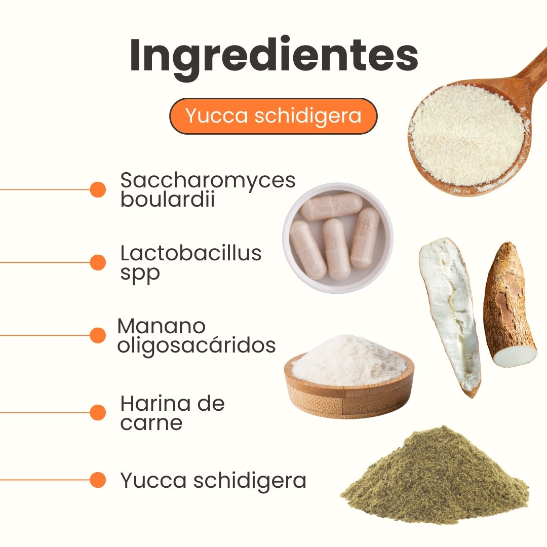 Suplemento Probiótico para perros K-Flora Sobre