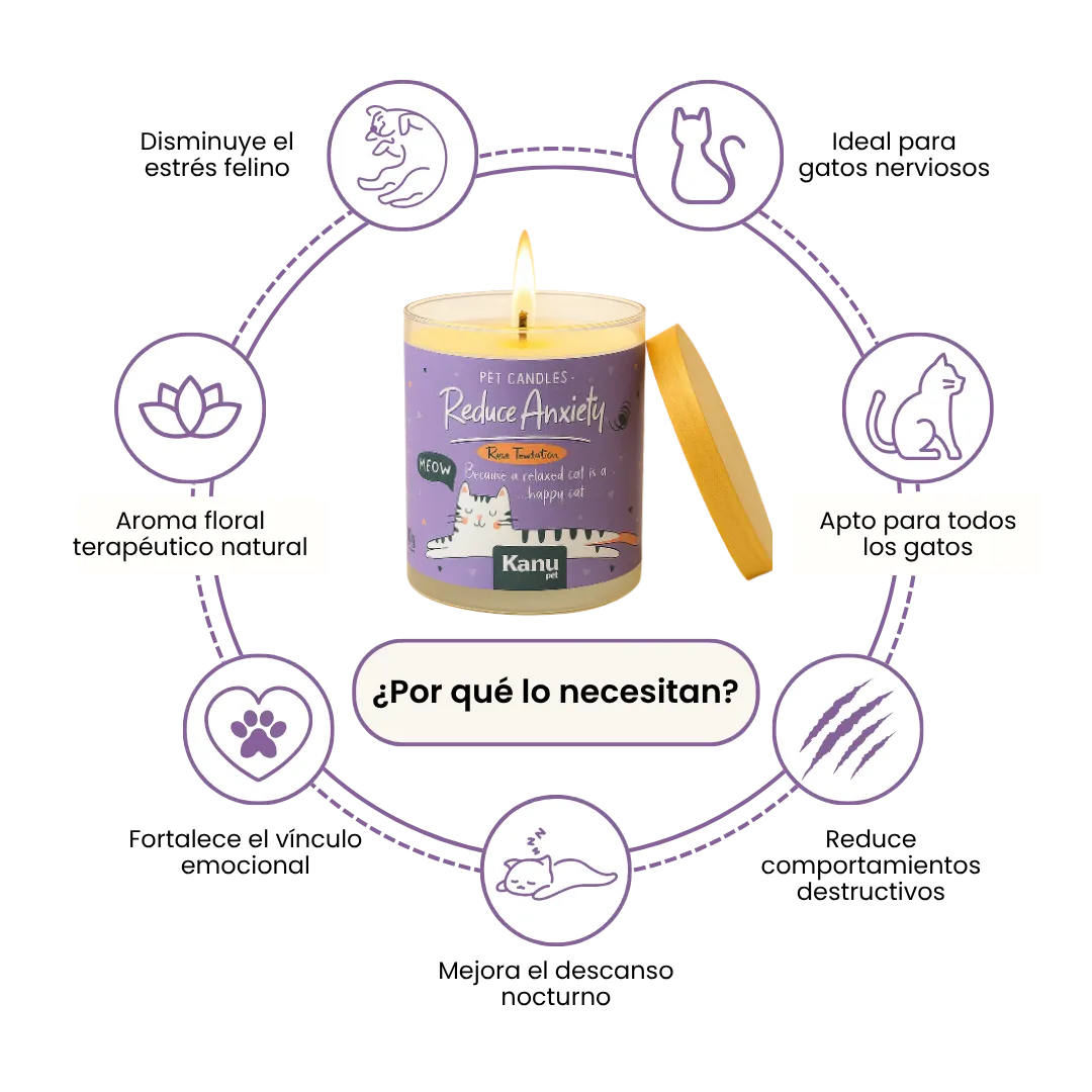 Vela Reduce Anxiety Kanu Pet para Gatos aroma Rose Temptation