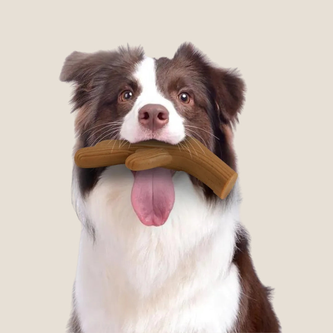 Juguete Masticable Horne Bone Sabor Carne Kanu Pet para Perro
