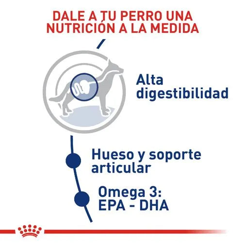 Alimento para perro Royal Canin Maxi Adulto