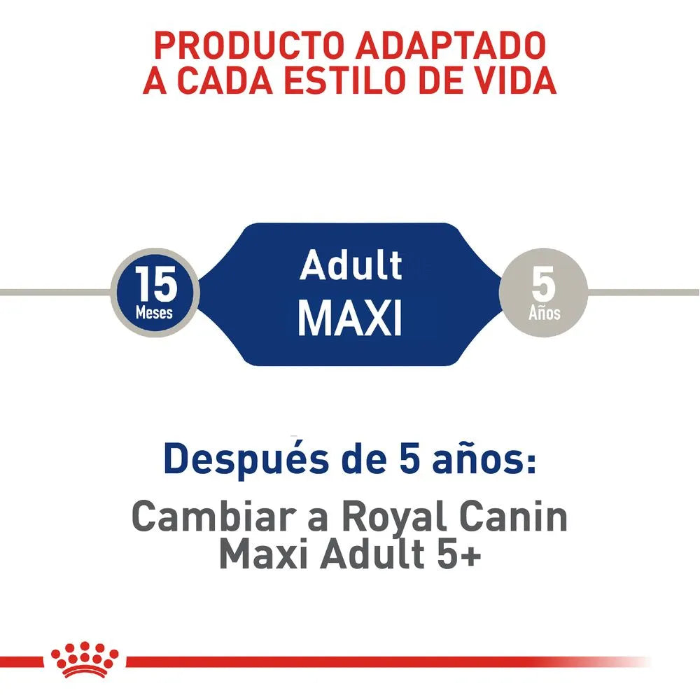 Alimento para perro Royal Canin Maxi Adulto