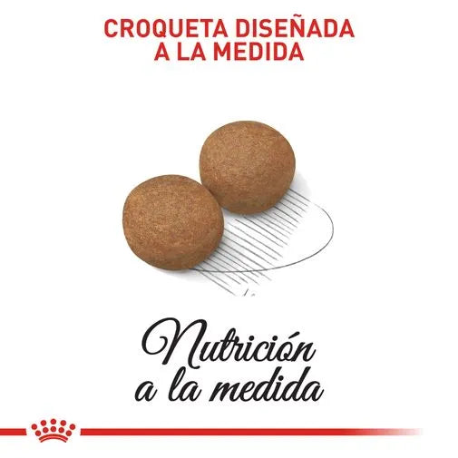 Alimento para perro Royal Canin Maxi Adulto