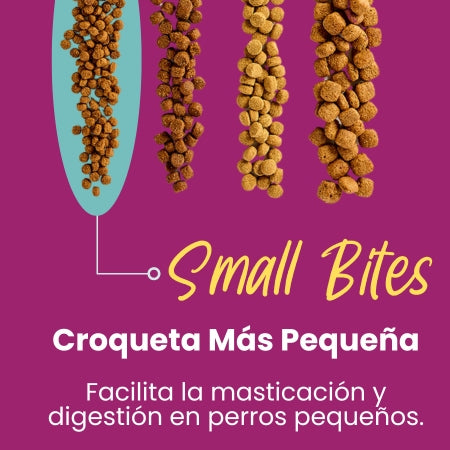 Nativo_Small_Bites_ff56dce8-de46-4b4a-a52d-cc15725a0c94-Kanu Pet