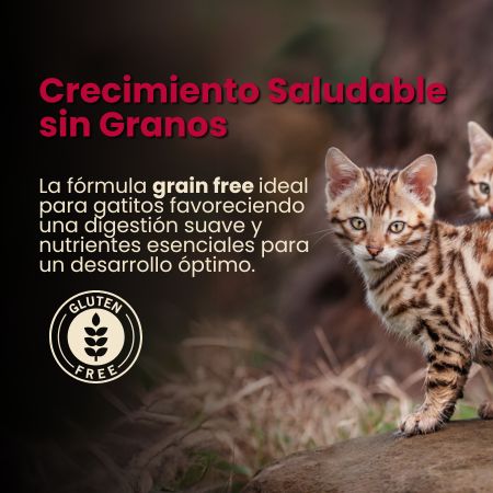 Nativo_Wild_Cachorro_Gato_Mobile-Kanu Pet