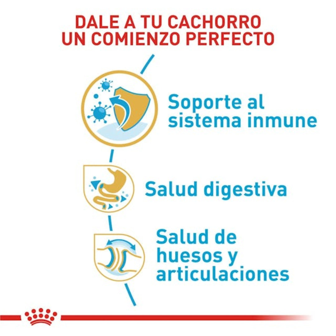 Alimento para perro Royal Canin Bulldog Inglés Cachorro