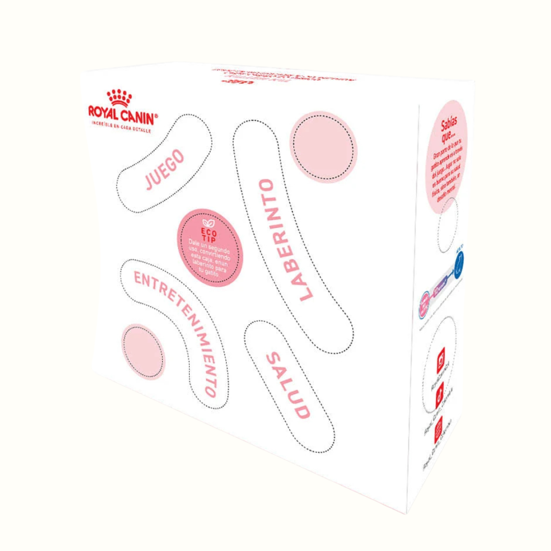 Alimento Para Gato Royal Canin Kitten Kit Especial