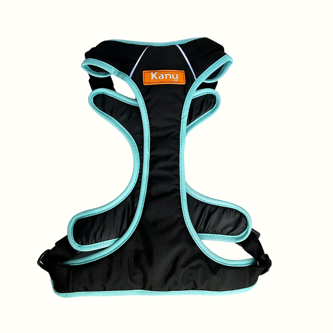 Pechera Mini Walker Negro / Verde Menta Kanu Pet para Perro