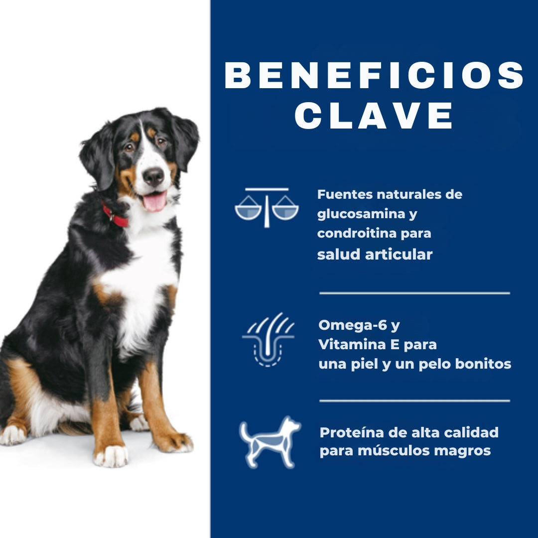 Alimento Hills Canino Cordero Y Arroz para Perro Adulto Raza Grande