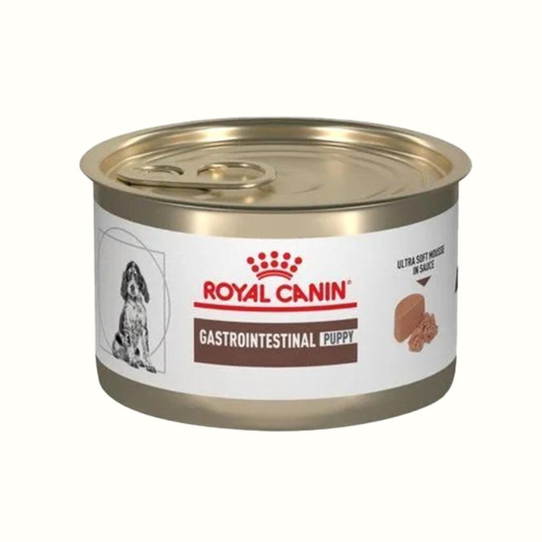 Alimento Royal Canin Gastro para Cachorro Lata