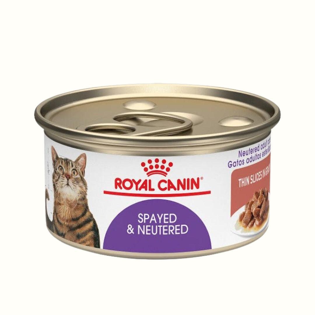 Alimento Royal canin Spayed & Neutered para gato Lata