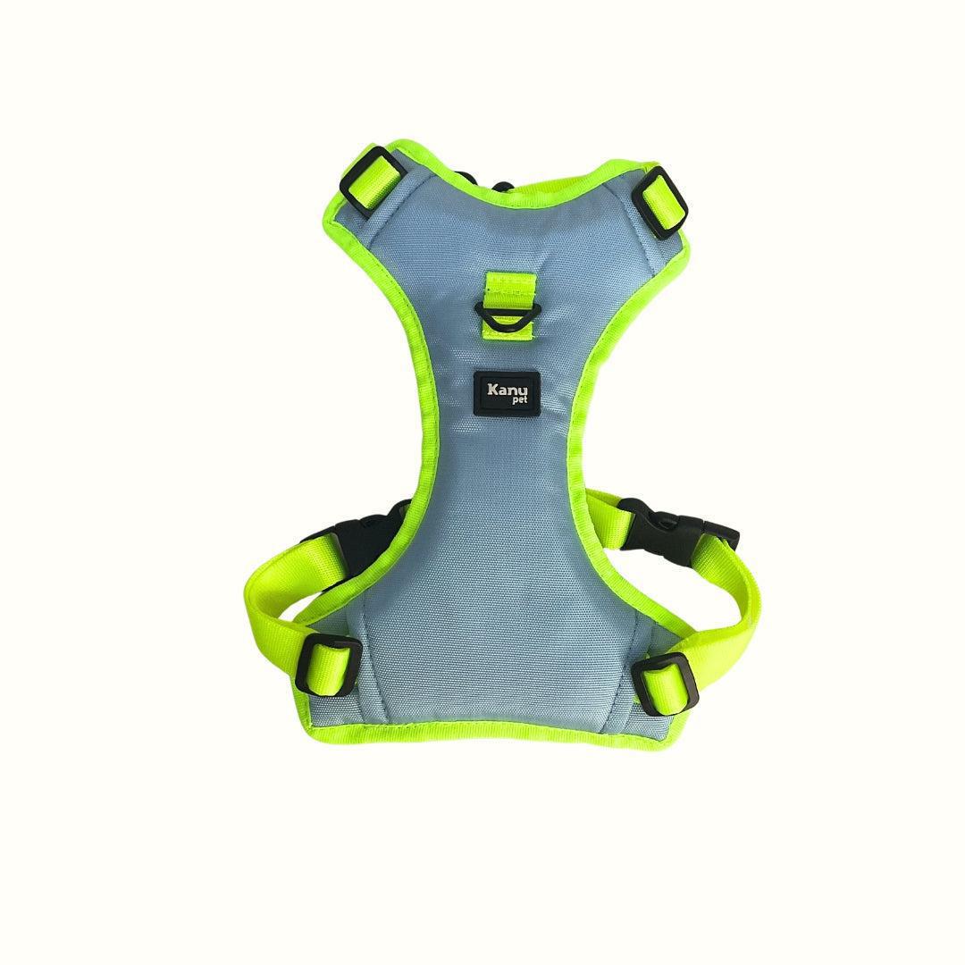 Pechera Azul celeste / Verde Neon Kanu Pet para Perro