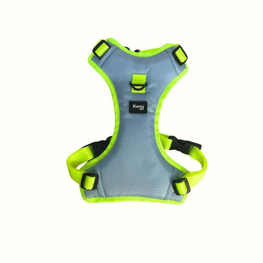 Pechera Azul celeste / Verde Neon Kanu Pet para Perro
