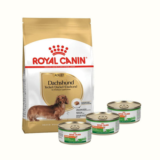 Alimento Para Perro Royal Canin Dachshund Adult + Beauty Lata Especial Pack