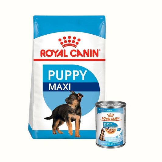 Alimento Para Perro Royal Canin Maxi Puppy + Lata Pupi Large Especial Pack